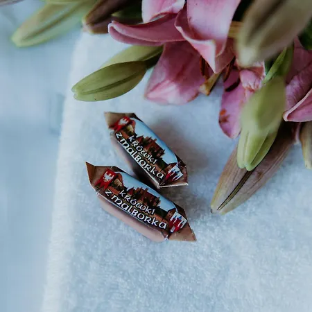 Happyapartments - Malbork, Stare 35 Malbork